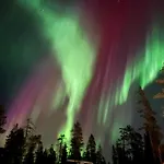 Aurora Queen Igloos Rezort Saariselka