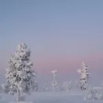 Rezort Aurora Queen Igloos