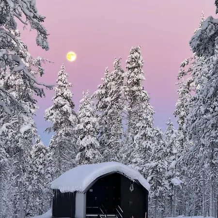 Aurora Queen Igloos Saariselka