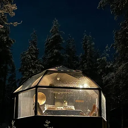 Lomakeskus Aurora Queen Igloos 4*