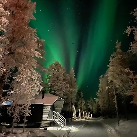 Aurora Queen Igloos منتجع ساريسيلكا