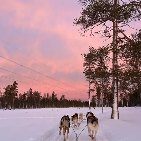 Lomakeskus Aurora Queen Igloos 4*