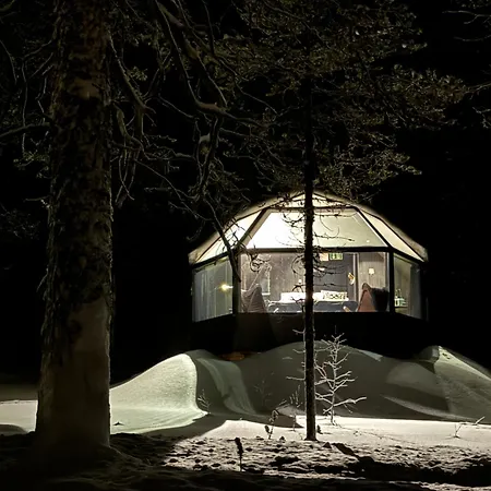Aurora Queen Igloos Saariselkä