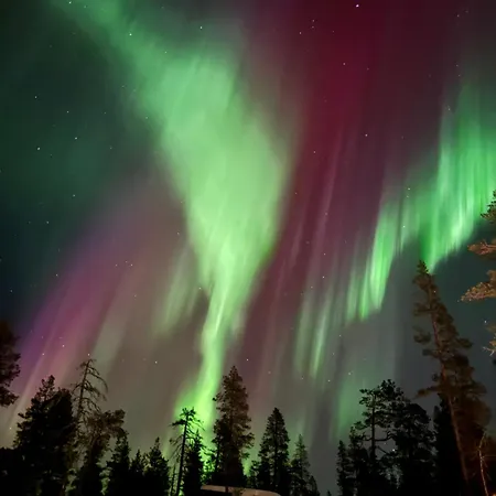 Aurora Queen Igloos Lomakeskus Saariselkä