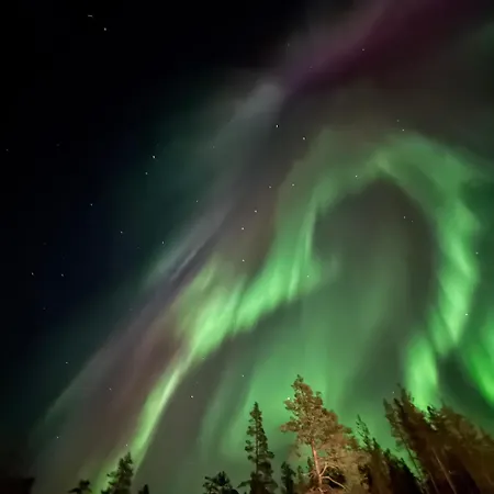 Aurora Queen Igloos Saariselka