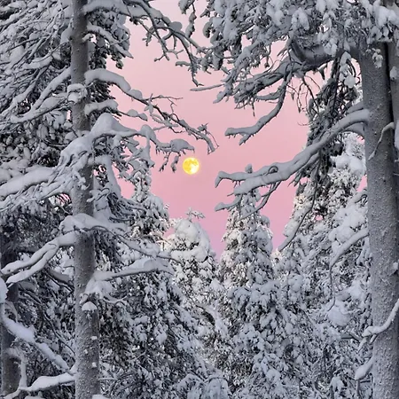 Aurora Queen Igloos Θέρετρο