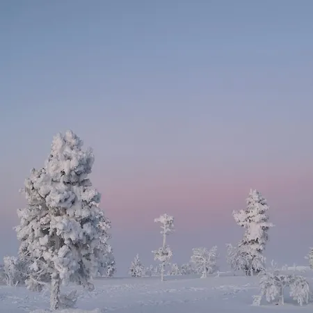 Lomakeskus Aurora Queen Igloos