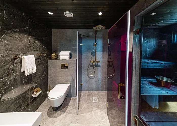 Aurora Queen Igloos منتجع ساريسيلكا