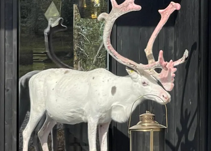 Aurora Queen Igloos 5*