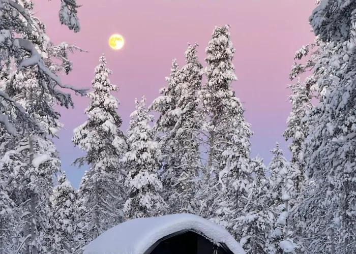 Aurora Queen Igloos Saariselka
