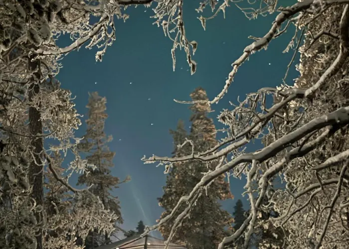 Aurora Queen Igloos 5* Saariselka