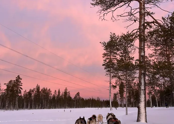 منتجع Aurora Queen Igloos 5*