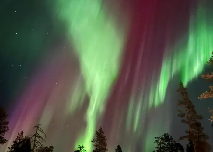 Aurora Queen Igloos Resort Saariselka