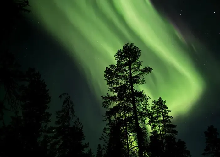 Aurora Queen Igloos 5* ساريسيلكا