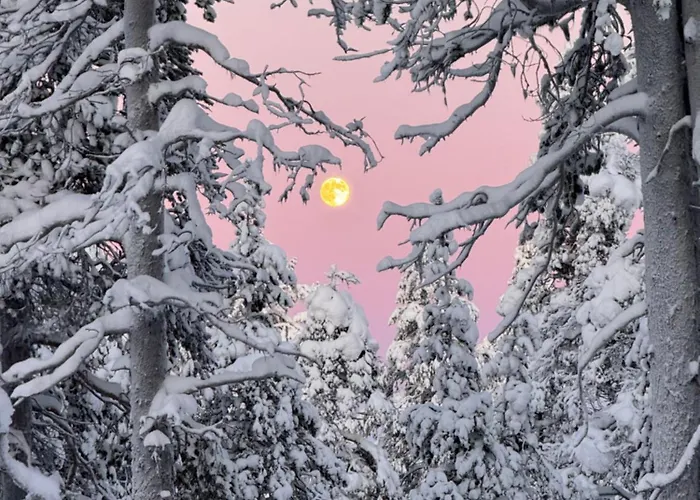 Aurora Queen Igloos Resort