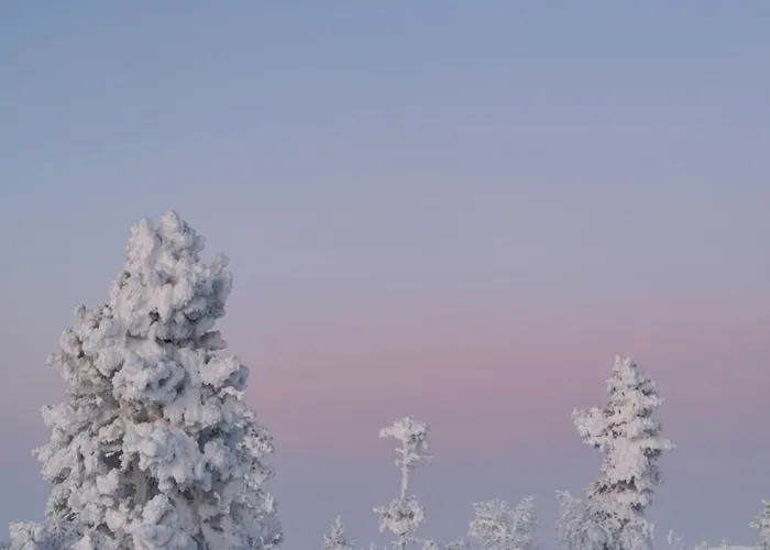 منتجع Aurora Queen Igloos